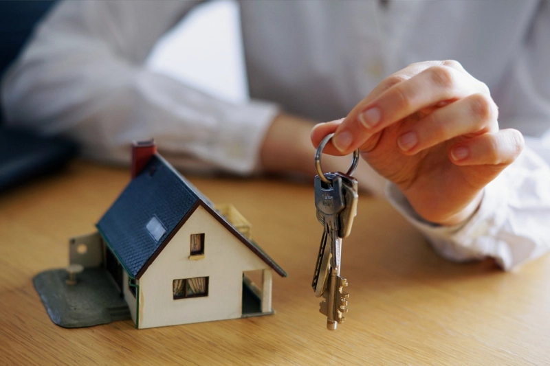 Real Estate & Property